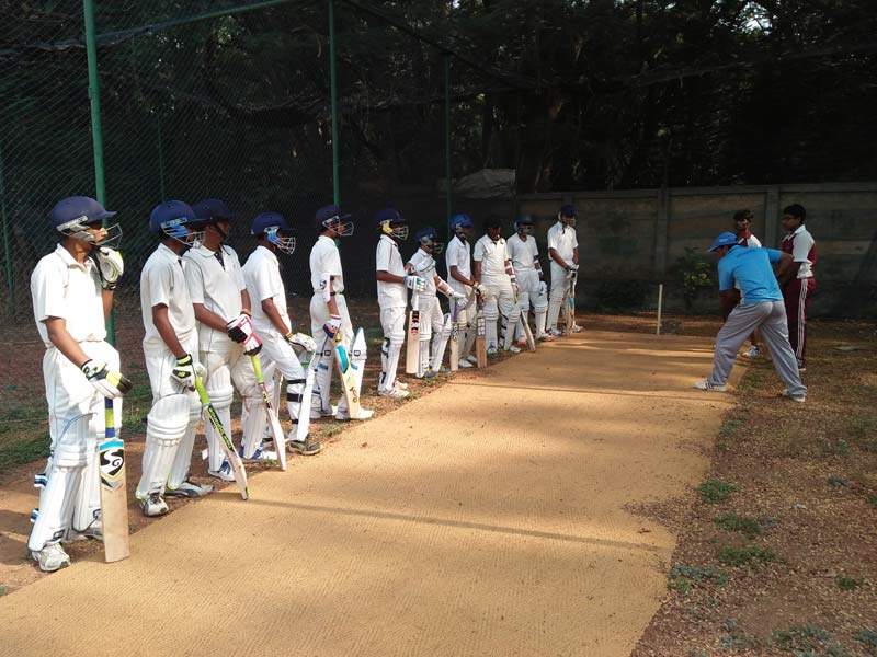 cricket5
